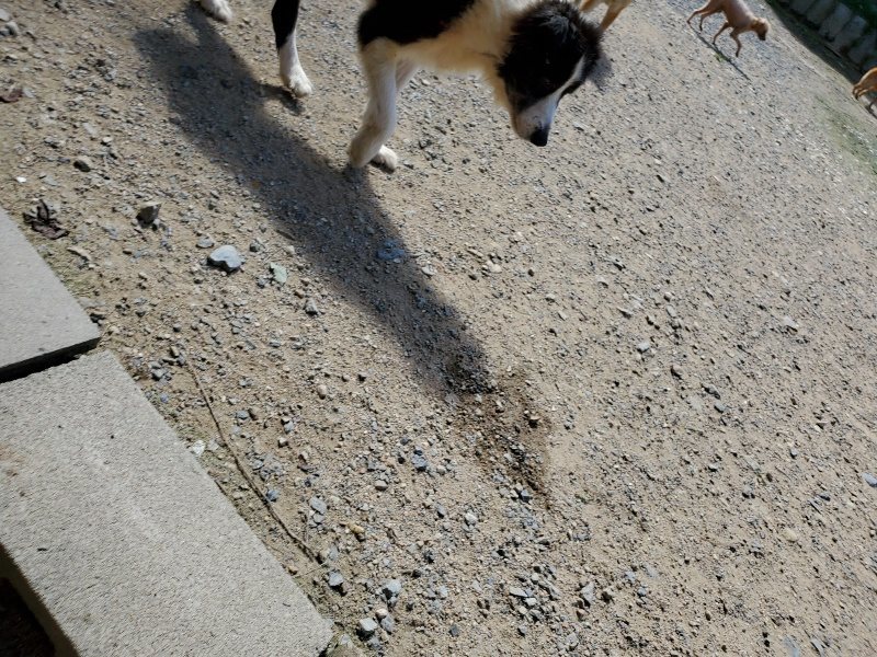 f:id:roukenhome-ann:20190908152233j:plain