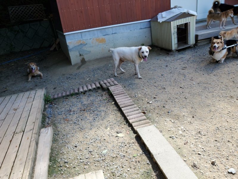 f:id:roukenhome-ann:20190908152238j:plain