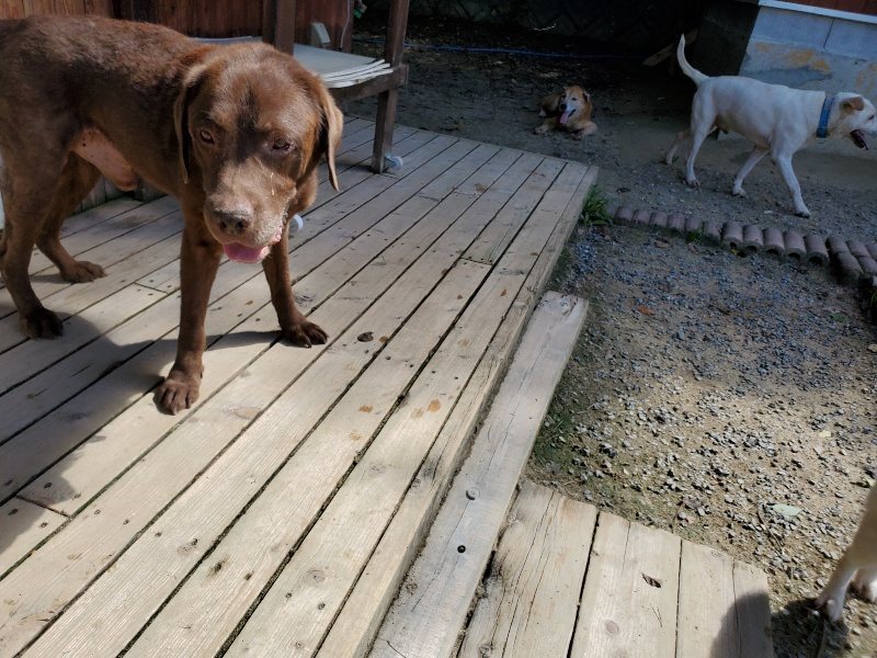 f:id:roukenhome-ann:20190908152243j:plain