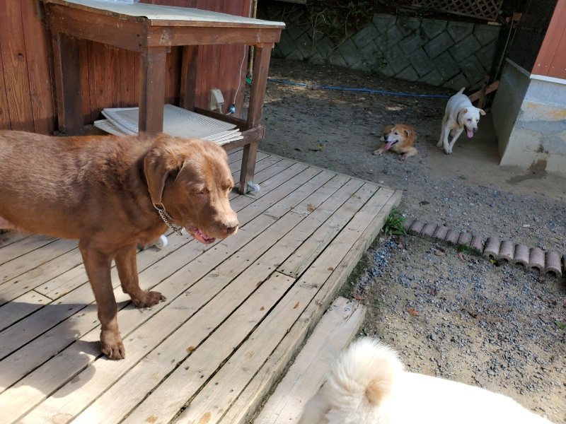f:id:roukenhome-ann:20190908152250j:plain