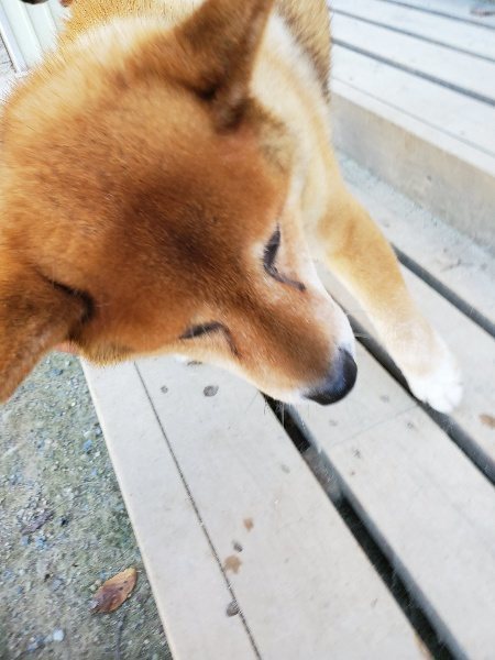 f:id:roukenhome-ann:20190908152523j:plain