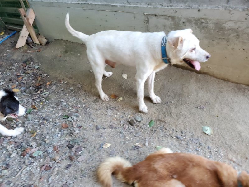 f:id:roukenhome-ann:20190908152545j:plain