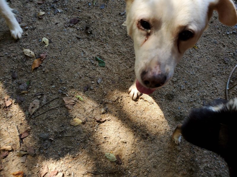 f:id:roukenhome-ann:20190908152551j:plain