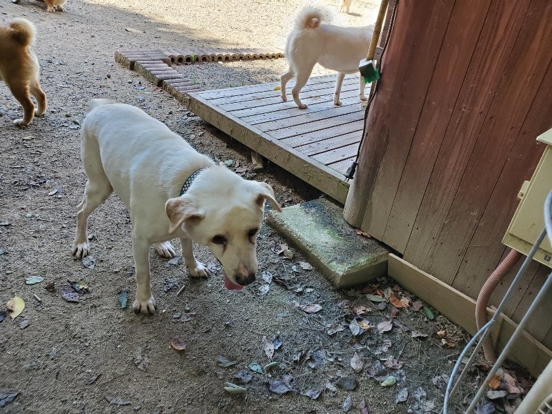 f:id:roukenhome-ann:20190908152556j:plain