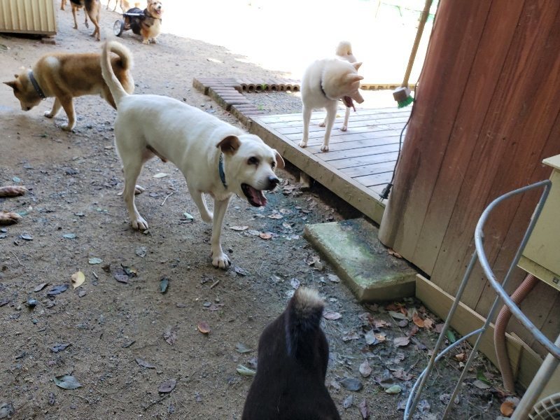 f:id:roukenhome-ann:20190908152611j:plain