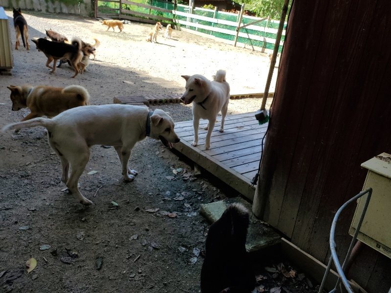 f:id:roukenhome-ann:20190908152616j:plain