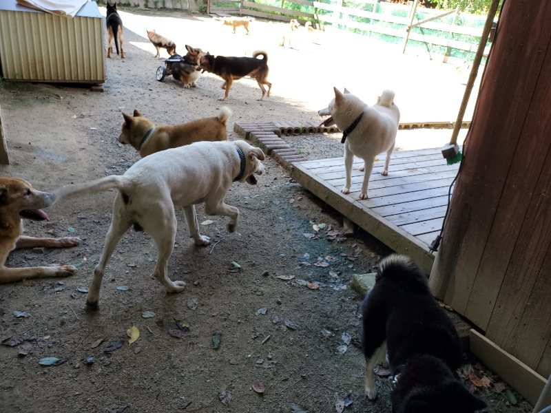 f:id:roukenhome-ann:20190908152627j:plain