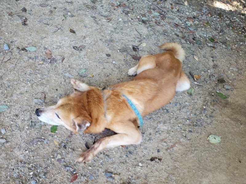 f:id:roukenhome-ann:20190908152637j:plain