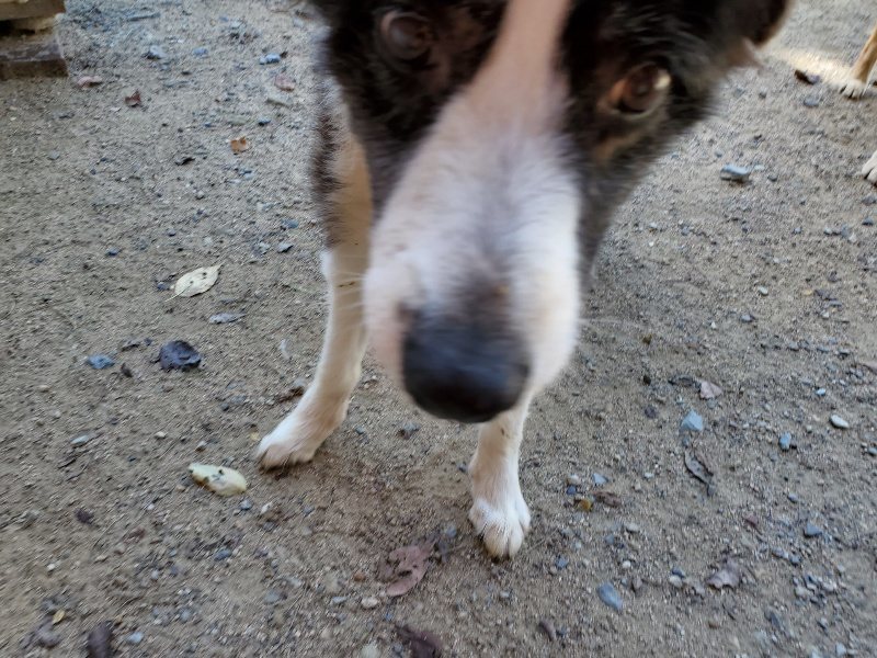 f:id:roukenhome-ann:20190908152647j:plain