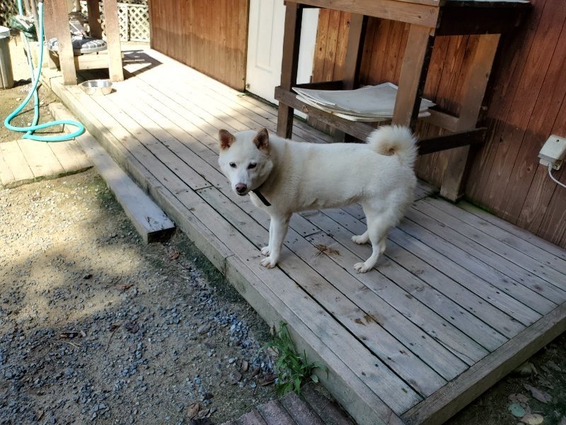 f:id:roukenhome-ann:20190908152653j:plain