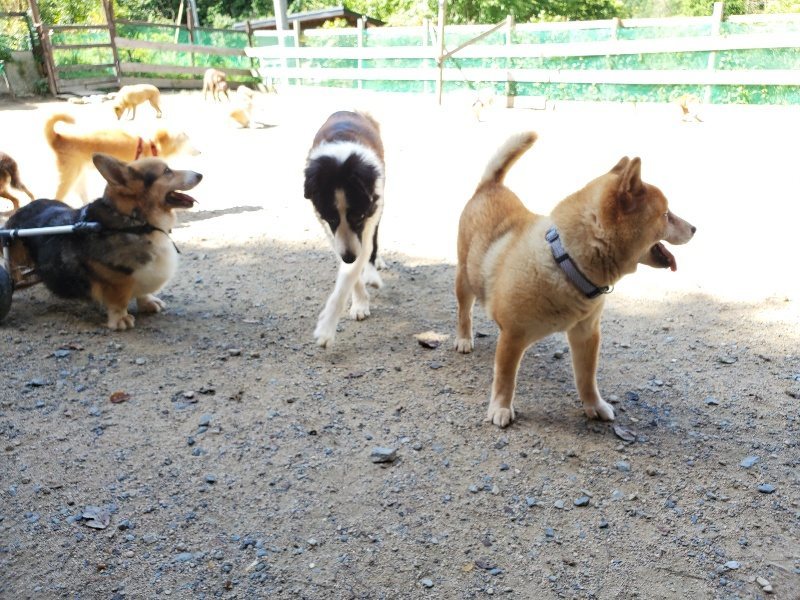 f:id:roukenhome-ann:20190908152659j:plain