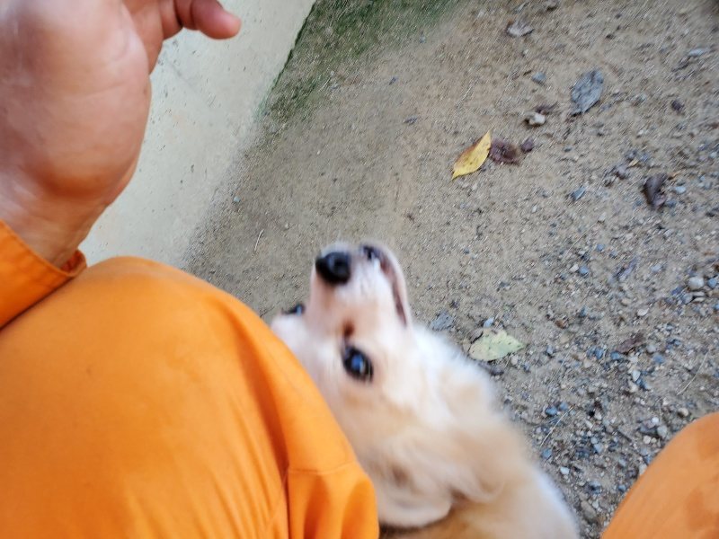 f:id:roukenhome-ann:20190908152706j:plain