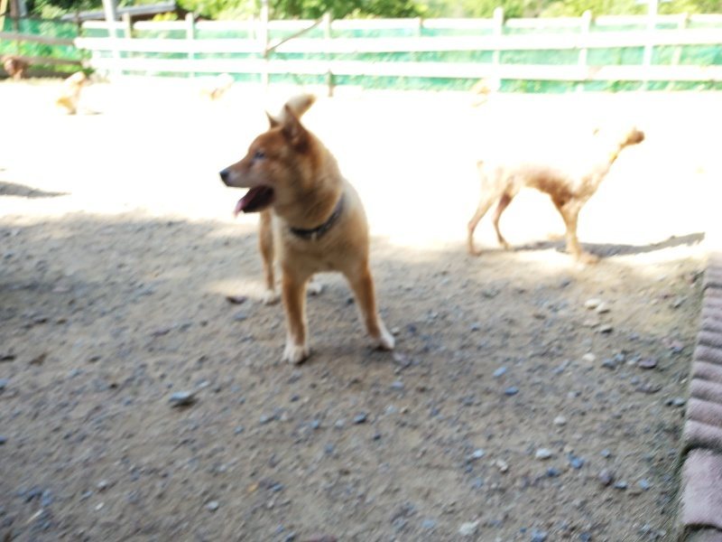 f:id:roukenhome-ann:20190908152712j:plain