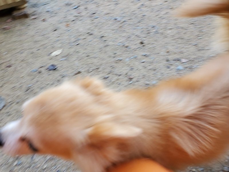 f:id:roukenhome-ann:20190908152726j:plain