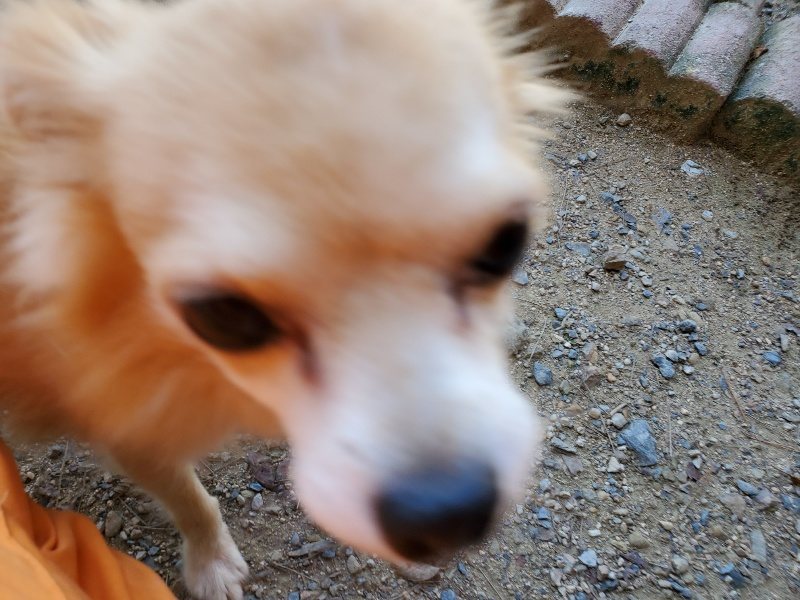 f:id:roukenhome-ann:20190908152732j:plain