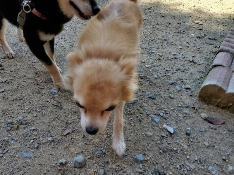 f:id:roukenhome-ann:20190908152738j:plain