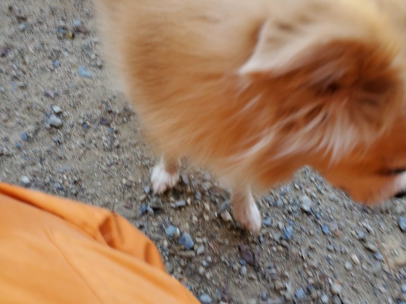 f:id:roukenhome-ann:20190908152749j:plain