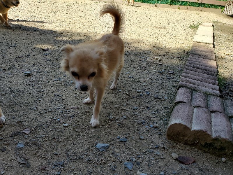 f:id:roukenhome-ann:20190908152756j:plain