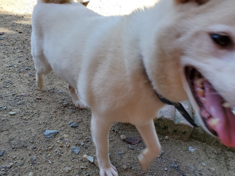 f:id:roukenhome-ann:20190908152805j:plain