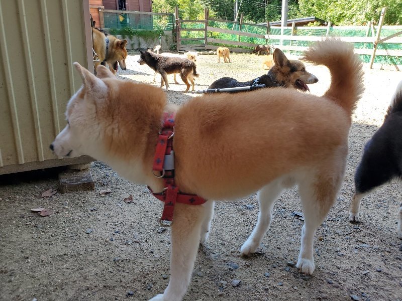 f:id:roukenhome-ann:20190908152824j:plain