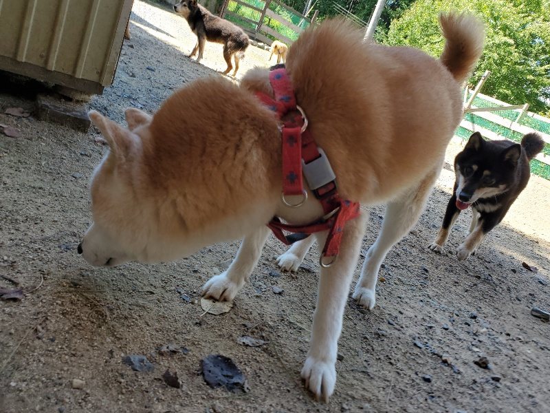 f:id:roukenhome-ann:20190908152830j:plain