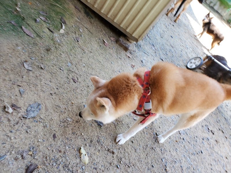 f:id:roukenhome-ann:20190908152838j:plain