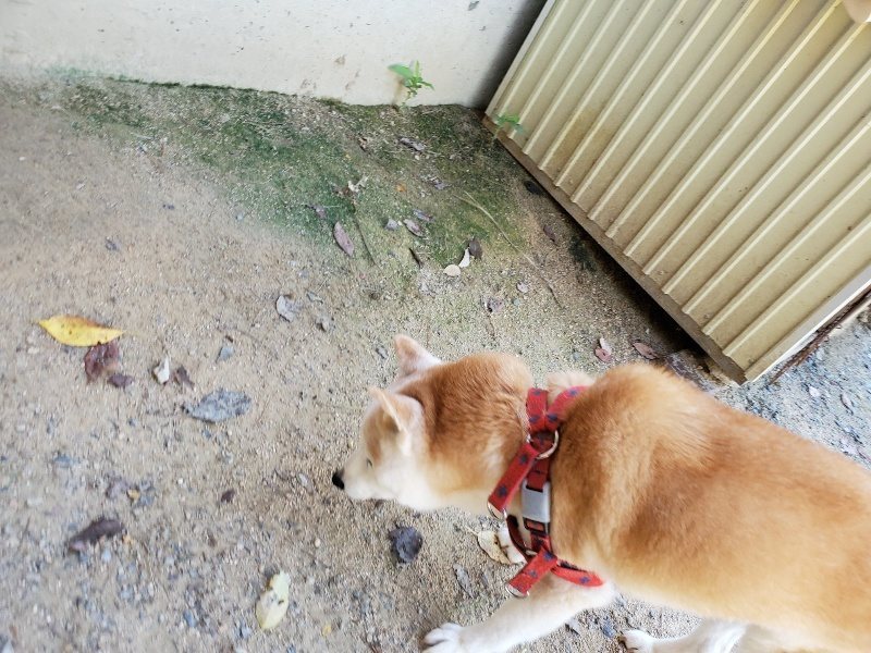 f:id:roukenhome-ann:20190908152844j:plain