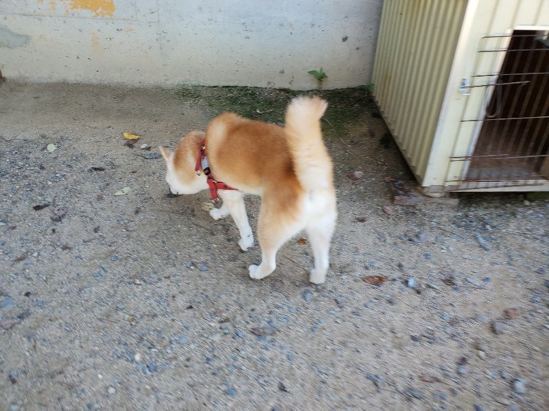 f:id:roukenhome-ann:20190908152851j:plain