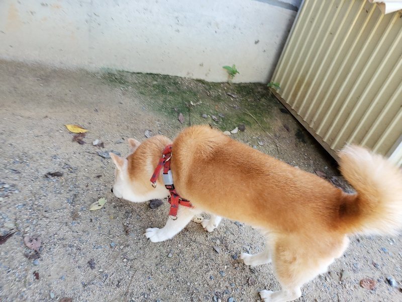 f:id:roukenhome-ann:20190908152909j:plain