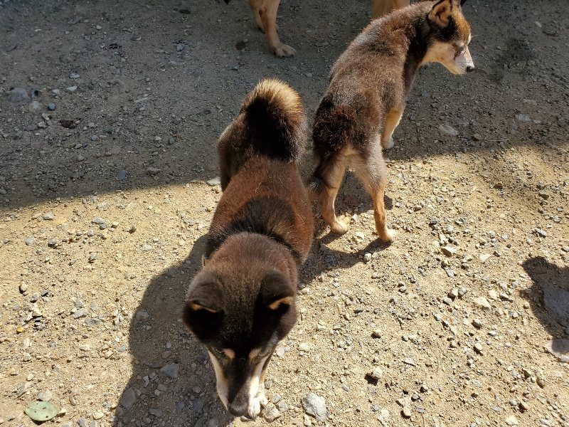 f:id:roukenhome-ann:20190908152916j:plain
