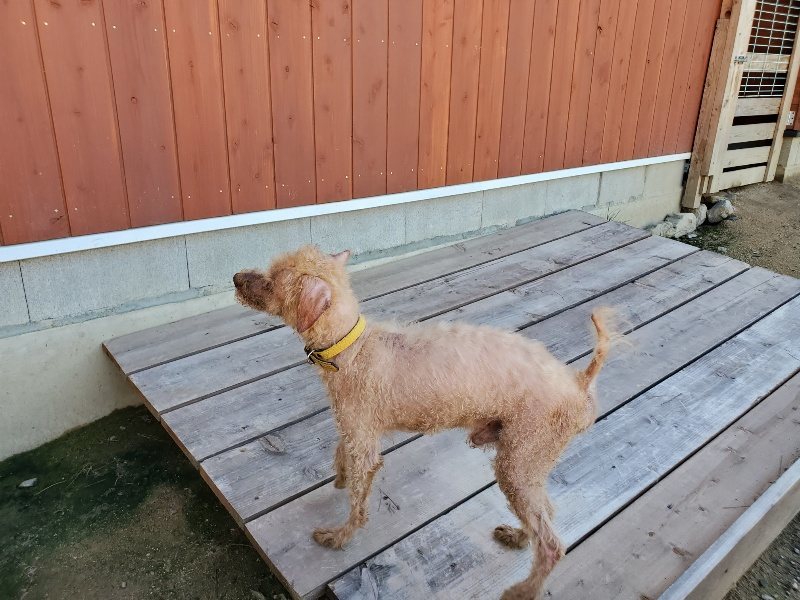 f:id:roukenhome-ann:20190908152934j:plain