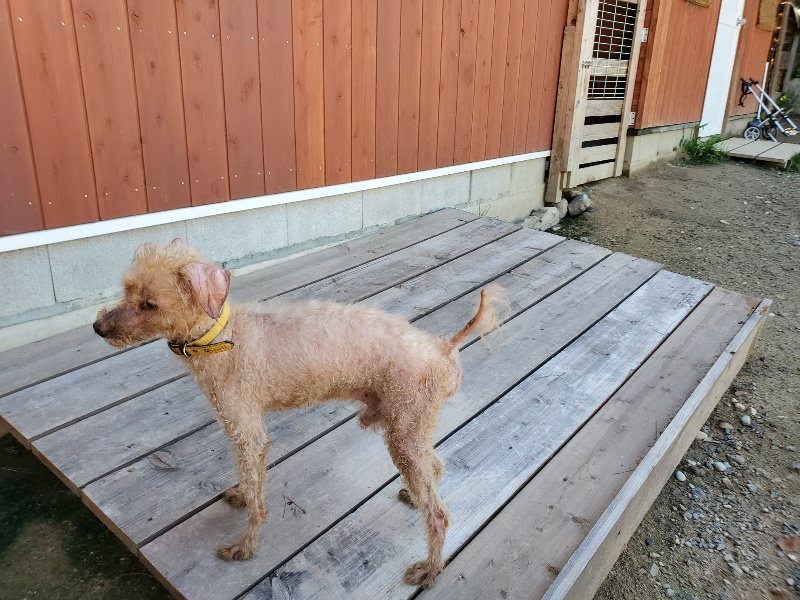 f:id:roukenhome-ann:20190908152940j:plain