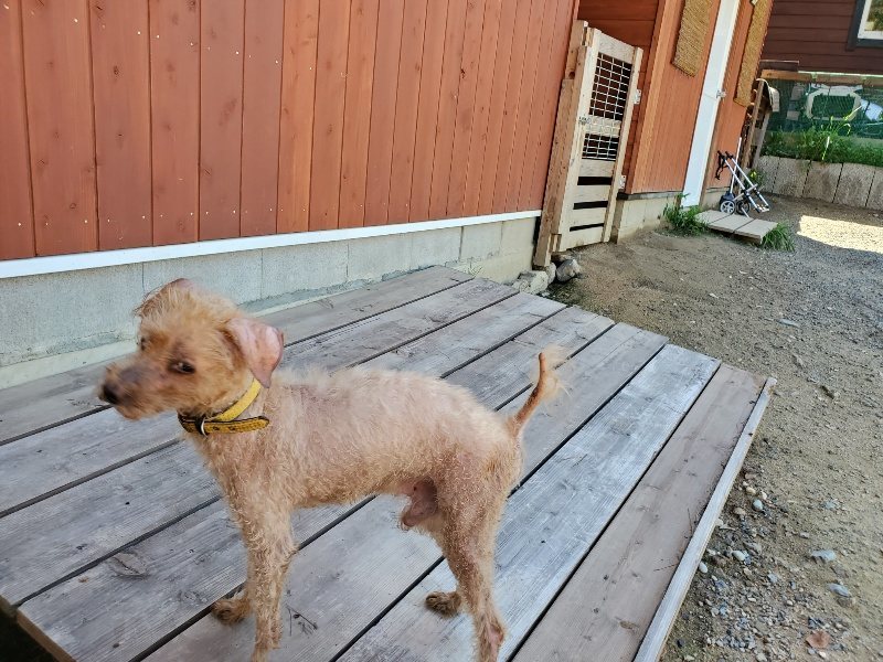 f:id:roukenhome-ann:20190908152950j:plain