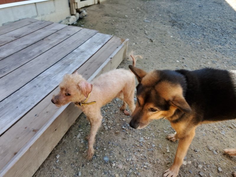 f:id:roukenhome-ann:20190908153025j:plain