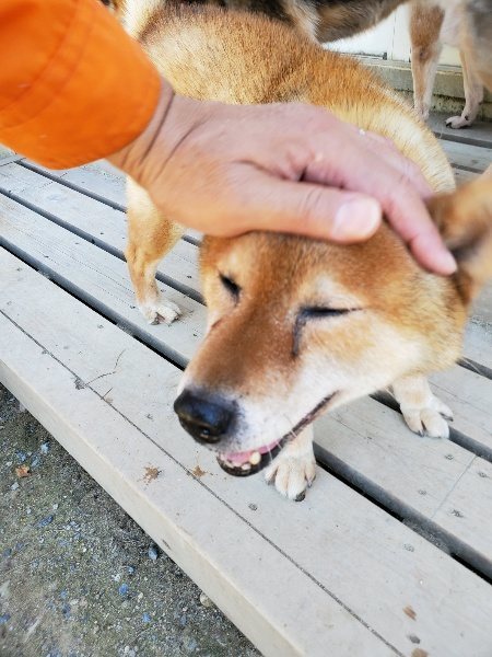 f:id:roukenhome-ann:20190908162218j:plain