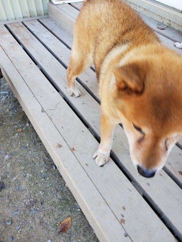 f:id:roukenhome-ann:20190908162226j:plain