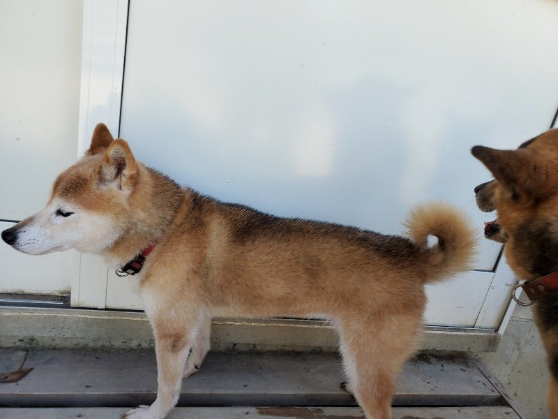 f:id:roukenhome-ann:20190908162233j:plain