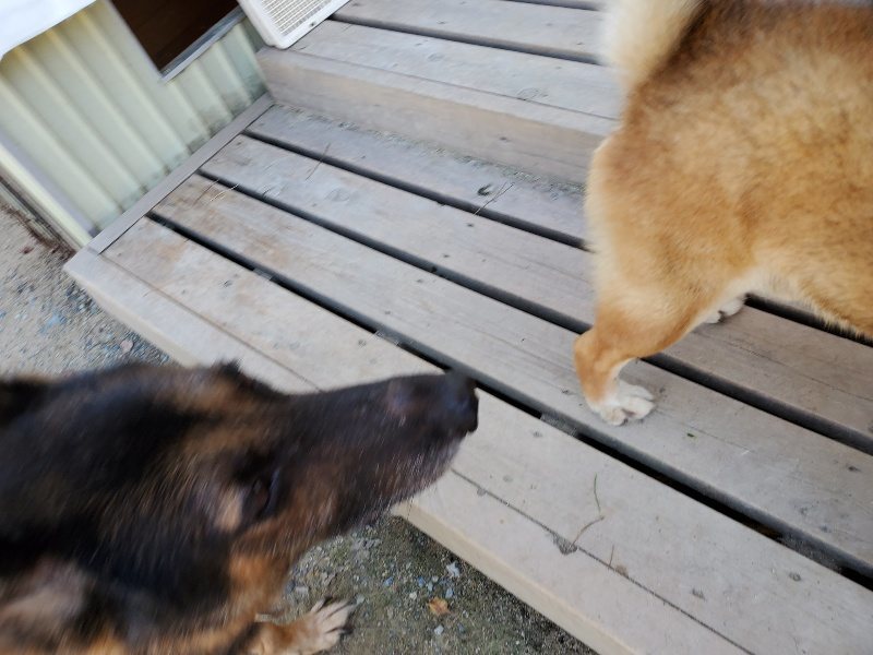 f:id:roukenhome-ann:20190908162238j:plain