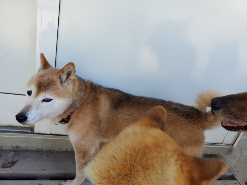 f:id:roukenhome-ann:20190908162243j:plain
