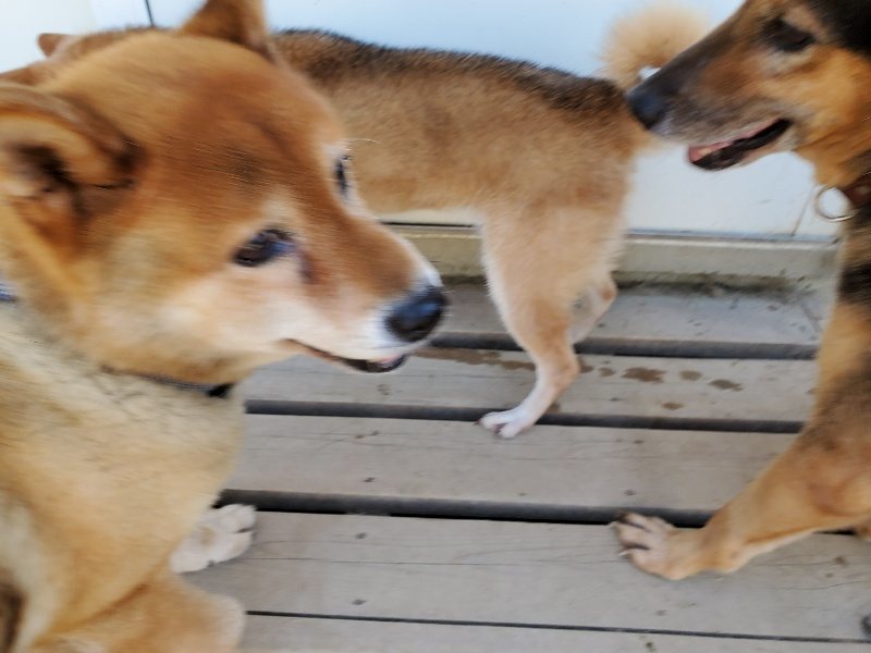 f:id:roukenhome-ann:20190908162249j:plain
