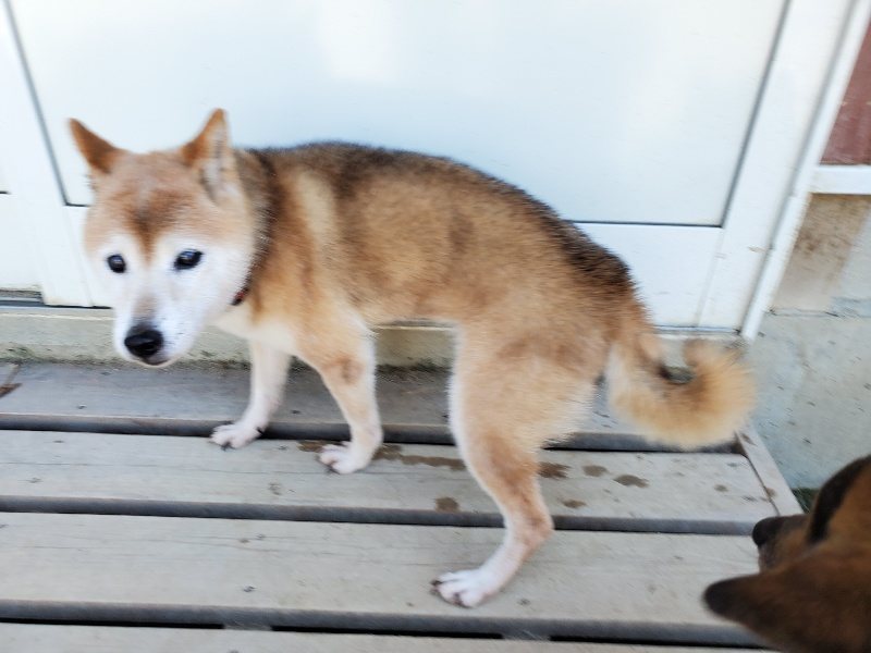 f:id:roukenhome-ann:20190908162257j:plain