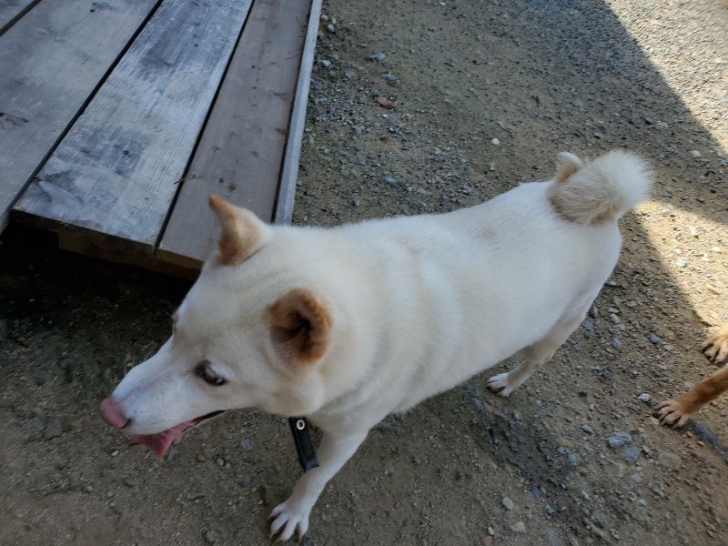 f:id:roukenhome-ann:20190908162317j:plain
