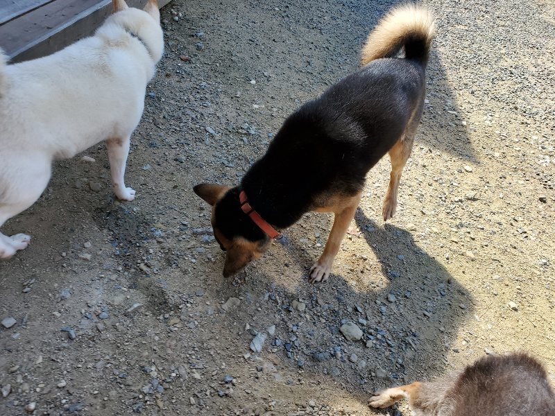 f:id:roukenhome-ann:20190908162325j:plain