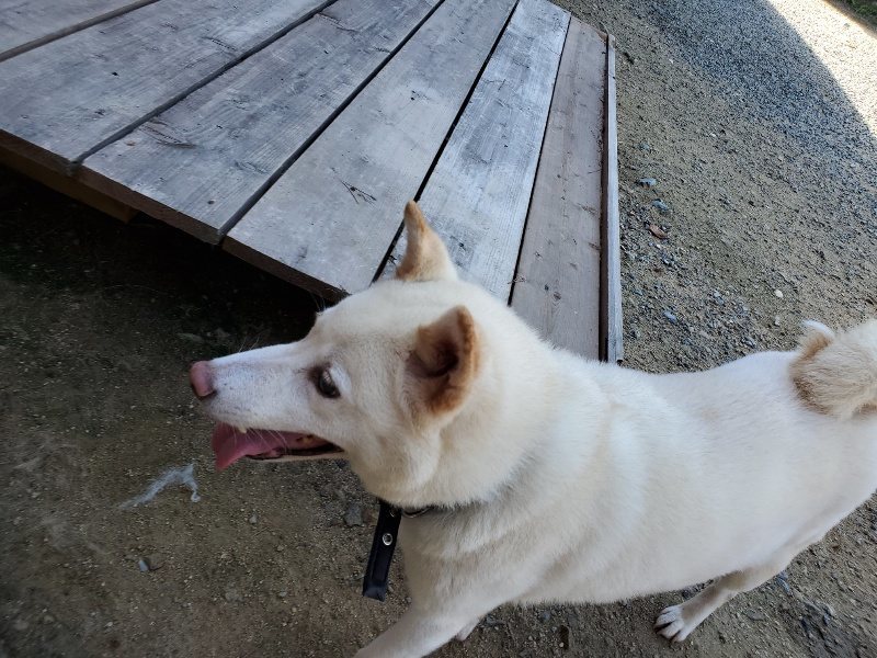 f:id:roukenhome-ann:20190908162339j:plain