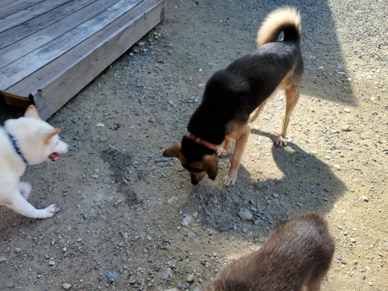 f:id:roukenhome-ann:20190908162346j:plain
