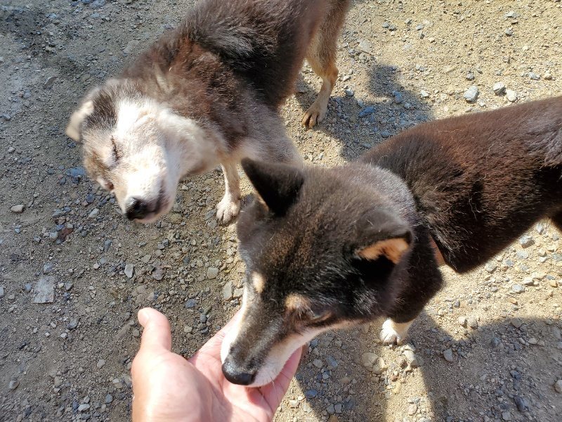 f:id:roukenhome-ann:20190908162354j:plain