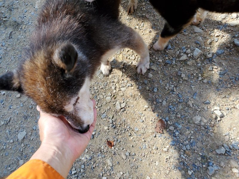 f:id:roukenhome-ann:20190908162402j:plain
