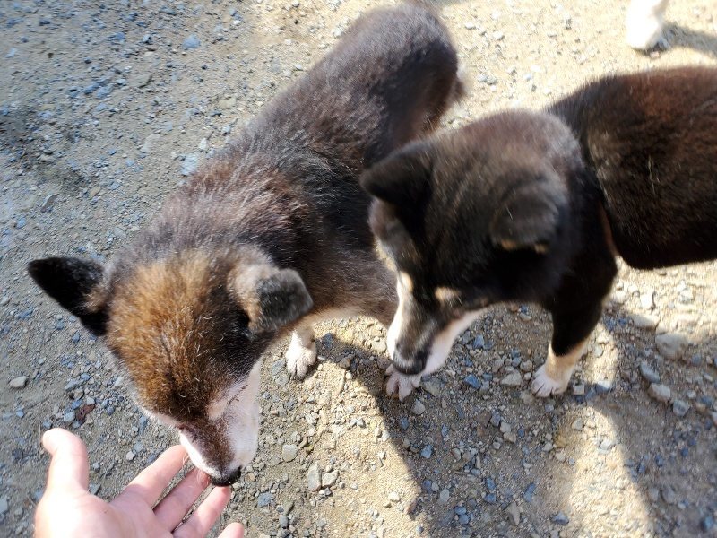 f:id:roukenhome-ann:20190908162419j:plain