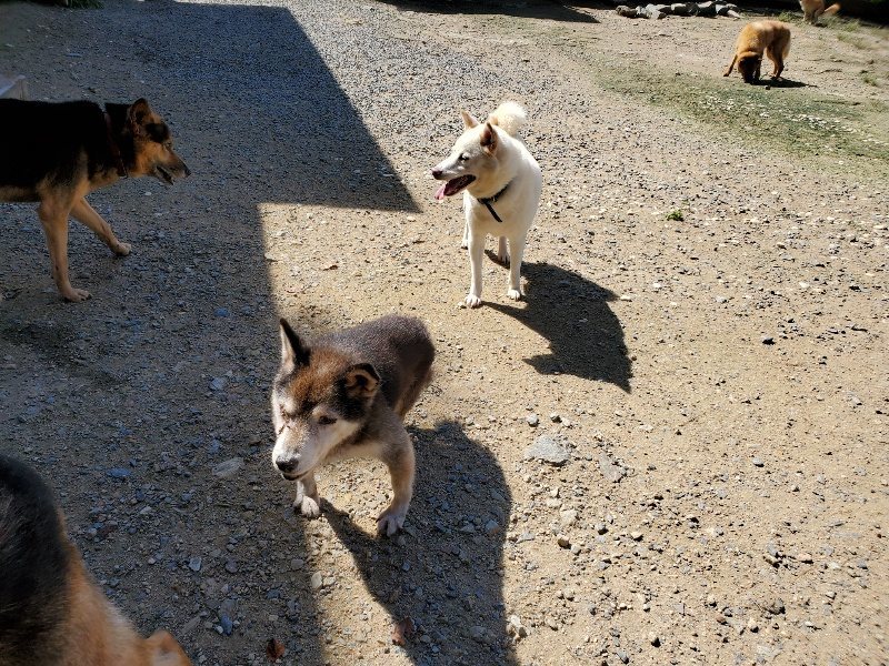 f:id:roukenhome-ann:20190908162429j:plain