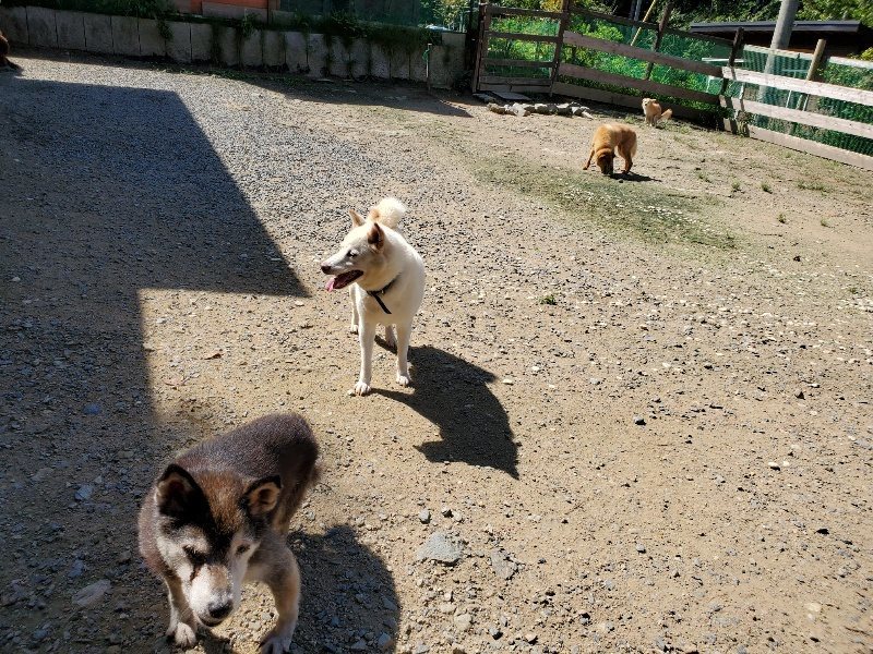 f:id:roukenhome-ann:20190908162438j:plain